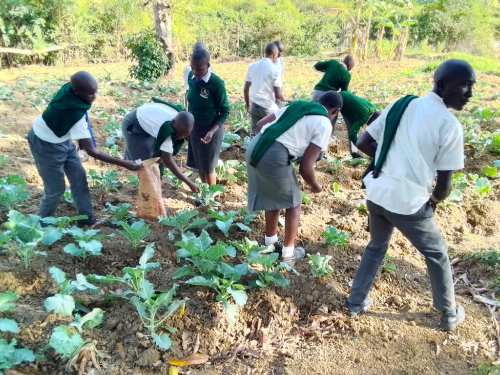 A student tending a productive garden in Siaya